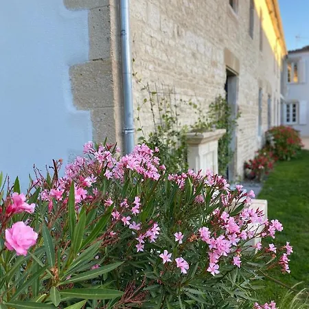 Batisse Chalou * Aigrefeuille-dʼAunis